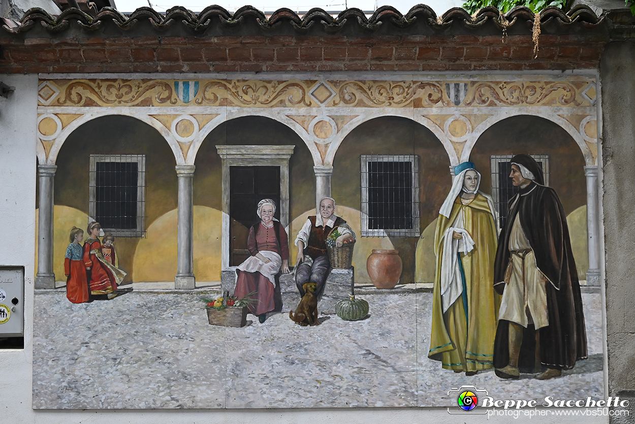 VBS_3701 - Fontanile (Asti) - Murales di Luigi Amerio.jpg